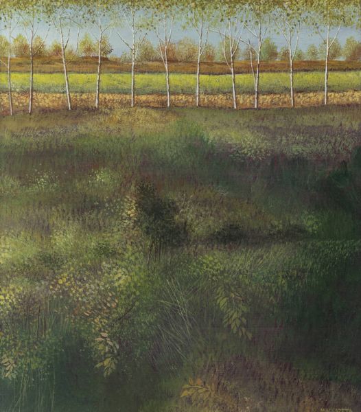 GIOVANNI MACCIOTTA Torino 1927 - 1993 Coassolo (TO) : Sottobosco  - Asta Dipinti - Associazione Nazionale - Case d'Asta italiane