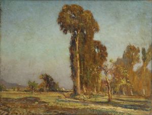 FRANCESCO MENNYEY Torino 1889 - 1950 - Paesaggio