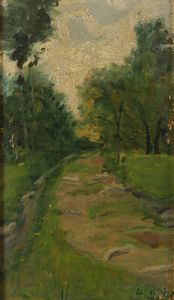 SCUOLA DI DELLEANI - Stradina di campagna 4..9.1896