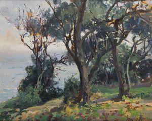 ANGIOLA MEUCCI Revere (MN) 1892 - 1966 Torino - Mare tra gli alberi