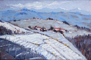 CLAUDIO FASSIO Santa Caterina di Rocca d'Arazzo (AT) 1946 - Langa nevicata a Bene Vagienna 2019