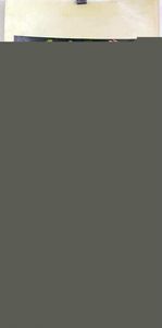 Acerbo (Manfredo Acerbo) : Le orientali  - Asta Bozzetti Cinematografici   - Associazione Nazionale - Case d'Asta italiane