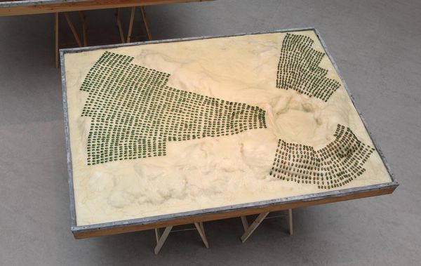 Jan Fabre : Battlefield  - Asta Arte + contemporanea - Associazione Nazionale - Case d'Asta italiane