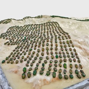 Jan Fabre - Battlefield