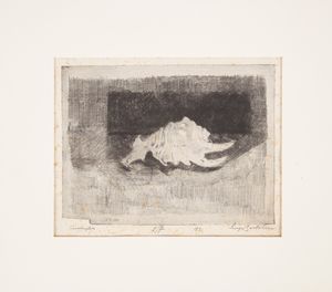 Luigi Bartolini - Conchiglia