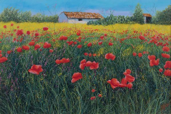 Franco Azzinari : Papaveri e casolare  - Asta Parade I - Arte Contemporanea - Associazione Nazionale - Case d'Asta italiane