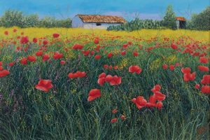 Franco Azzinari - Papaveri e casolare