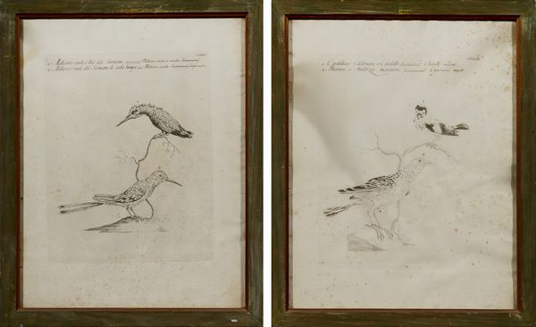 Lotto composto da otto stampe  - Asta Parade II - Arredi e Dipinti Antichi - Associazione Nazionale - Case d'Asta italiane