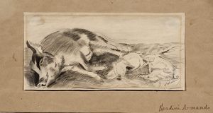 Armando Spadini - La scrofa