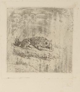 Giovanni Fattori - Cane che dorme