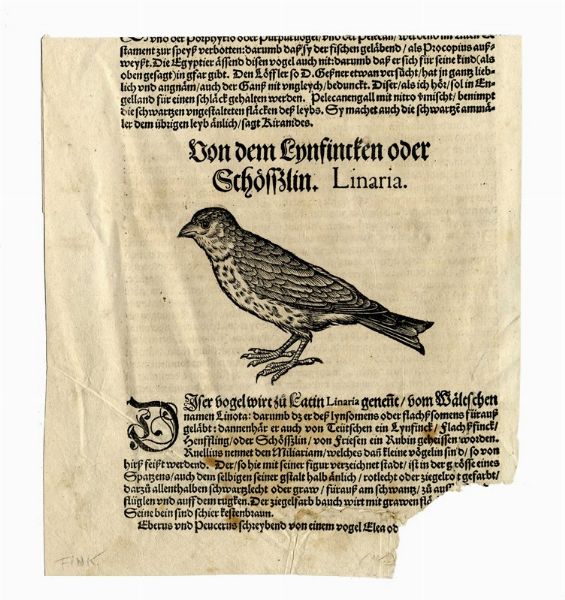 CONRAD GESSNER : Otto tavole ornitologiche da Conradi Gesneri medici Tigurini historiae animalium ...  - Asta  Arte Antica, Moderna e Contemporanea [Parte I] - Associazione Nazionale - Case d'Asta italiane