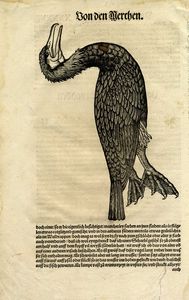 CONRAD GESSNER : Otto tavole ornitologiche da Conradi Gesneri medici Tigurini historiae animalium ...  - Asta  Arte Antica, Moderna e Contemporanea [Parte I] - Associazione Nazionale - Case d'Asta italiane