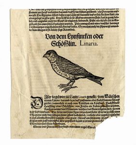 CONRAD GESSNER : Otto tavole ornitologiche da Conradi Gesneri medici Tigurini historiae animalium ...  - Asta  Arte Antica, Moderna e Contemporanea [Parte I] - Associazione Nazionale - Case d'Asta italiane