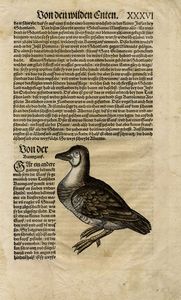 CONRAD GESSNER : Otto tavole ornitologiche da Conradi Gesneri medici Tigurini historiae animalium ...  - Asta  Arte Antica, Moderna e Contemporanea [Parte I] - Associazione Nazionale - Case d'Asta italiane