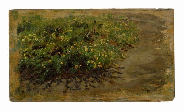 Francesco Paolo Michetti : Arbusto in fiore.  - Asta Arte Antica, Moderna e Contemporanea [Parte II] - Associazione Nazionale - Case d'Asta italiane