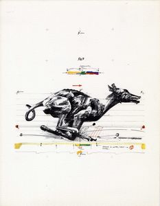 Lotto composto di 32 incisioni.  - Asta Arte Antica, Moderna e Contemporanea [Parte II] - Associazione Nazionale - Case d'Asta italiane