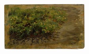 Francesco Paolo Michetti - Arbusto in fiore.