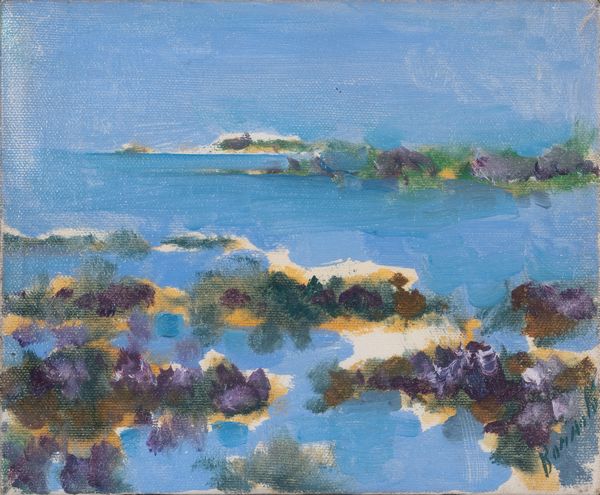 RENATO BORSATO : Isola di Ustica in fiore  - Asta Asta a tempo di Arte Moderna e Contemporanea - Associazione Nazionale - Case d'Asta italiane