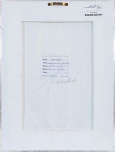 GILBERTO CASELLATO : scomposizione astratta  - Asta Asta a tempo di Arte Moderna e Contemporanea - Associazione Nazionale - Case d'Asta italiane