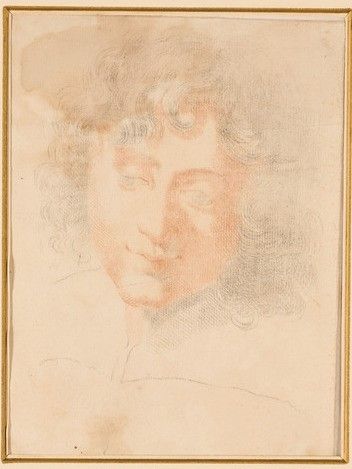 Scuola del XIX secolo Volto di giovane uomo  - Asta Dipinti Antichi - Associazione Nazionale - Case d'Asta italiane