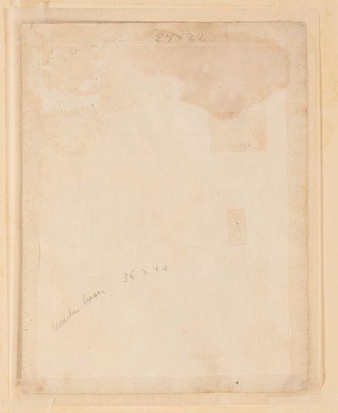 Scuola del XIX secolo Volto di giovane uomo  - Asta Dipinti Antichi - Associazione Nazionale - Case d'Asta italiane