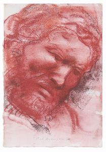 Pietro Annigoni - Senza titolo