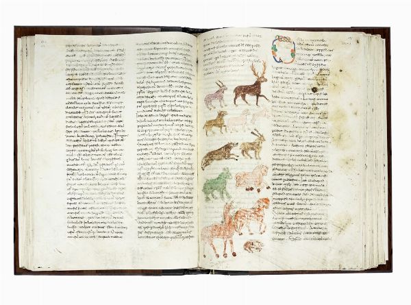 MAURUS HRABANUS : De Rerum Naturis. Ms. Cod. Casin. 132.  - Asta Libri, autografi e manoscritti - Associazione Nazionale - Case d'Asta italiane