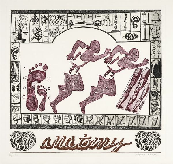 CONCETTO POZZATI : L'anatomia della bellezza.  - Asta Libri, autografi e manoscritti - Associazione Nazionale - Case d'Asta italiane