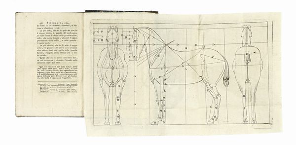 CLAUDE BOURGELAT : Opere veterinarie del sig. Bourgelat... volume primo (-ottavo).  - Asta Libri, autografi e manoscritti - Associazione Nazionale - Case d'Asta italiane