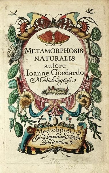JOHANNES GOEDART : Metamorphosis et historia naturalis insectorum.  - Asta Libri, autografi e manoscritti - Associazione Nazionale - Case d'Asta italiane