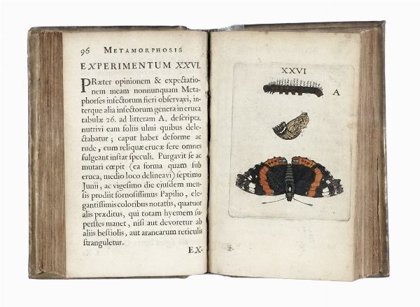 JOHANNES GOEDART : Metamorphosis et historia naturalis insectorum.  - Asta Libri, autografi e manoscritti - Associazione Nazionale - Case d'Asta italiane
