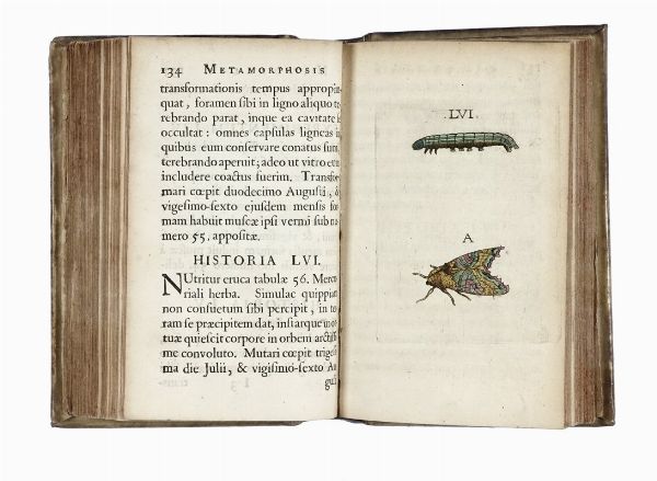 JOHANNES GOEDART : Metamorphosis et historia naturalis insectorum.  - Asta Libri, autografi e manoscritti - Associazione Nazionale - Case d'Asta italiane