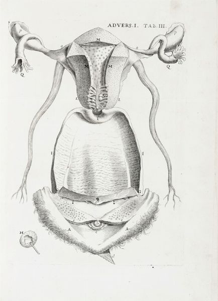 GIOVANNI BATTISTA MORGAGNI : Adversaria anatomica omnia... (-sexta).  - Asta Libri, autografi e manoscritti - Associazione Nazionale - Case d'Asta italiane