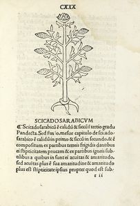 ARNALDO DE VILANOVA : [Tractatus de virtutibus herbarum].  - Asta Libri, autografi e manoscritti - Associazione Nazionale - Case d'Asta italiane