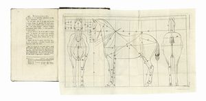 CLAUDE BOURGELAT : Opere veterinarie del sig. Bourgelat... volume primo (-ottavo).  - Asta Libri, autografi e manoscritti - Associazione Nazionale - Case d'Asta italiane