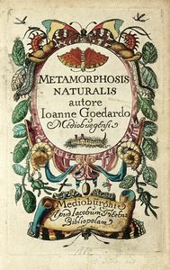 JOHANNES GOEDART : Metamorphosis et historia naturalis insectorum.  - Asta Libri, autografi e manoscritti - Associazione Nazionale - Case d'Asta italiane