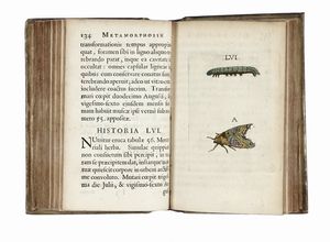 JOHANNES GOEDART : Metamorphosis et historia naturalis insectorum.  - Asta Libri, autografi e manoscritti - Associazione Nazionale - Case d'Asta italiane