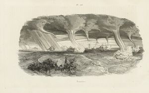 FLIX-EDOUARD GUERIN-MNEVILLE : Dictionnaire pittoresque d'histoire naturelle et des phnomnes de la nature, contenant l'histoire des animaux, des vgtaux [...]. Tome premier (-neuvime).  - Asta Libri, autografi e manoscritti - Associazione Nazionale - Case d'Asta italiane