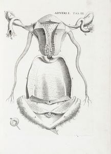 GIOVANNI BATTISTA MORGAGNI : Adversaria anatomica omnia... (-sexta).  - Asta Libri, autografi e manoscritti - Associazione Nazionale - Case d'Asta italiane