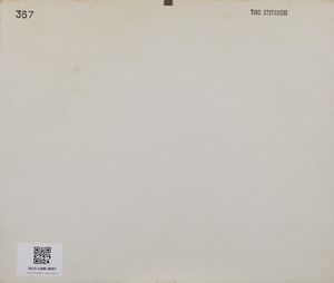 STEFANONI TINO (n. 1937) : SENZA TITOLO, 2013  - Asta Asta 439 | ARTE MODERNA E CONTEMPORANEA Online - Associazione Nazionale - Case d'Asta italiane