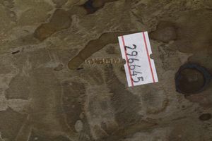 Oliera in Sheffileld con ampolle in cristallo  - Asta Antiquariato - Associazione Nazionale - Case d'Asta italiane