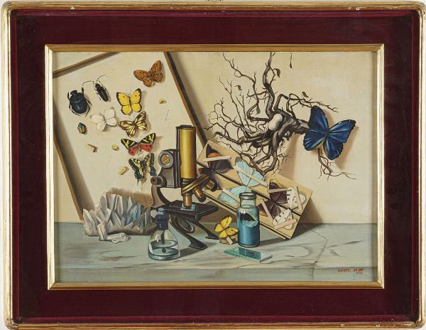 Adriano Gajoni : Natura morta, 1955  - Asta Pittura del XIX-XX secolo - Associazione Nazionale - Case d'Asta italiane