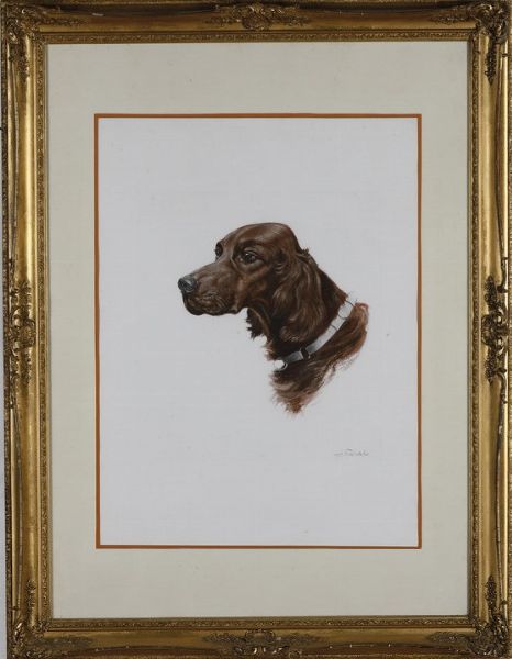 Coppia di dipinti raffiguranti teste di cani razza setter, firmati  - Asta Pittura del XIX-XX secolo - Associazione Nazionale - Case d'Asta italiane