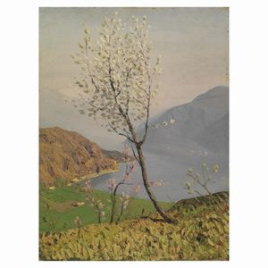 Albertini Oreste - Oreste Albertini