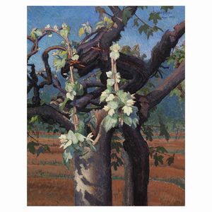 GHIGLIA VALENTINO - Valentino Ghiglia