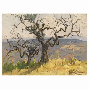 LOMI GIOVANNI - Giovanni Lomi