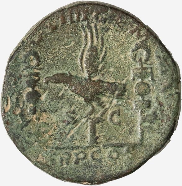 Impero Romano, SETTIMIO SEVERO, 193-211 d.C. : Sesterzio databile al 193 d.C.  - Asta Numismatica - Associazione Nazionale - Case d'Asta italiane
