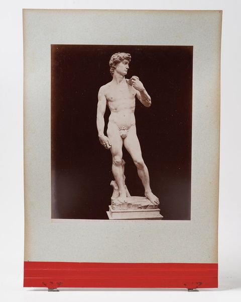 Raccolta di fotografie all'albumina Album con vedute di Genova, Pisa, Siena, Firenze, Torino, e dintorni  - Asta Libri antichi e rari, Stampe, Vedute e Mappe - Associazione Nazionale - Case d'Asta italiane