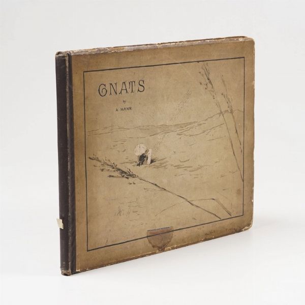 Mann Alexander Gnats and other hindraces to the successful accomplishment of landscape painting... London, Fine art society, 1884  - Asta Libri antichi e rari, Stampe, Vedute e Mappe - Associazione Nazionale - Case d'Asta italiane