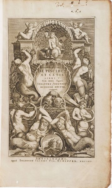 Jonstonus Johannes Historiae Naturalis De Piscibus et Cetis libri V. (unito a) Historiae Naturalis De Avibus cum Aeneis Figurae  - Asta Libri antichi e rari, Stampe, Vedute e Mappe - Associazione Nazionale - Case d'Asta italiane